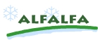Alfalfa